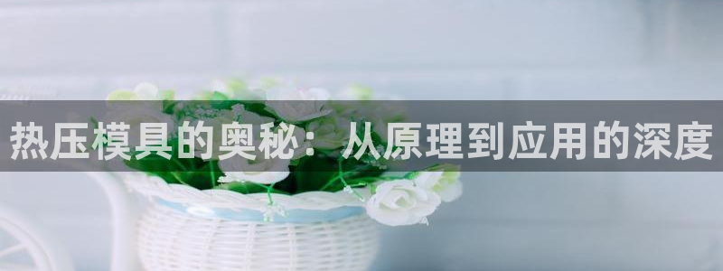 易倍纤奶昔减肥效果怎么样:热压模具的奥秘:从原理到应用的