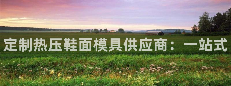 emc易赔:定制热压鞋面模具供应商:一站式