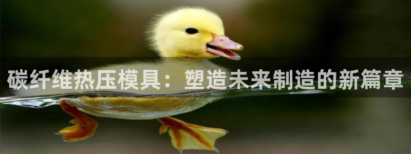 易倍纤谷物粉效果好吗