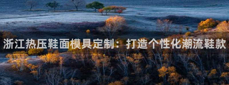 emc软件下载：浙江热压鞋面模具定制：打造个性化潮流鞋款