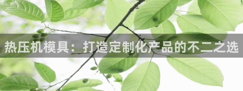 易倍下载：热压机模具：打造定制化产品的不二之选