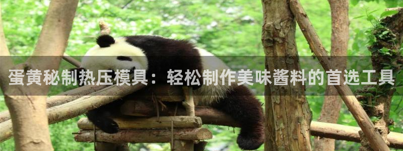 emc网页版：蛋黄秘制热压模具：轻松制作美味酱料的首选工