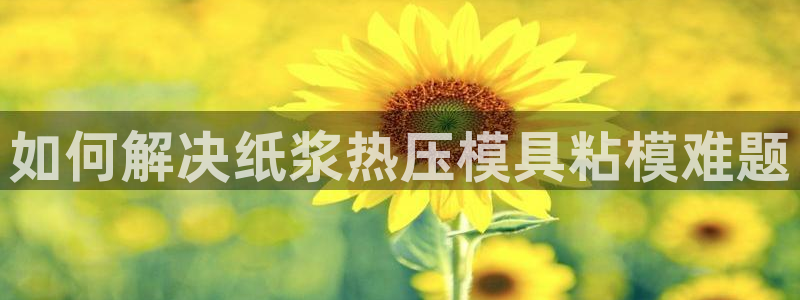 易倍达科技有限公司官网