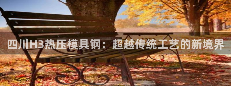 emc32软件:四川H3热压模具钢:超越传统工艺的新境界
