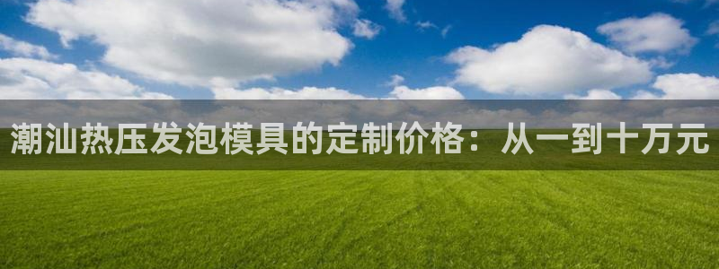 易倍emc网址网页版本登陆：潮汕热压发泡模具的定制价格：