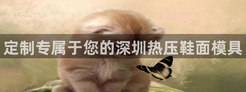 emc易倍账号异常