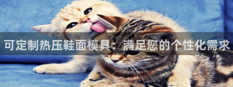 易倍下载
