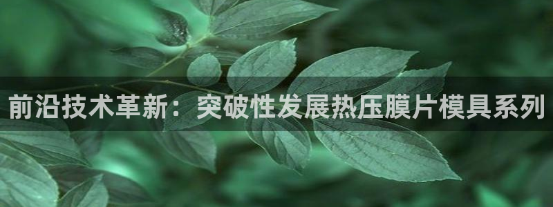 易倍申价格：前沿技术革新：突破性发展热压膜片模具系列