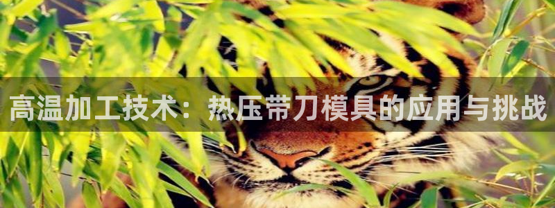 易倍申上市时间：高温加工技术：热压带刀模具的应用与挑战