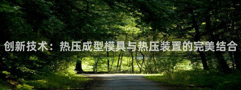 emc易倍登录：创新技术：热压成型模具与热压装置的完美结