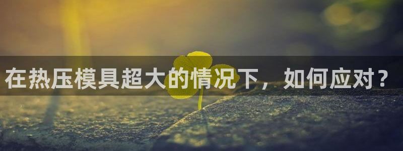 易倍纤减肥价格：在热压模具超大的情况下，如何应对？