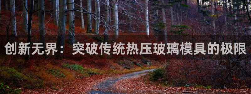 易倍单词如何下载：创新无界：突破传统热压玻璃模具的极限