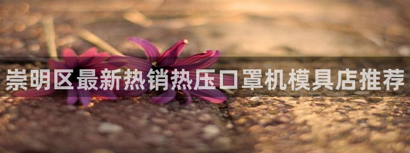 易倍emc全站：崇明区最新热销热压口罩机模具店推荐