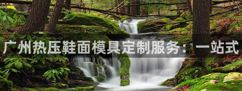 EMC易倍：广州热压鞋面模具定制服务：一站式
